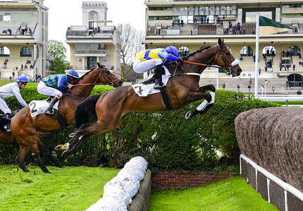 Actualités Hippiques